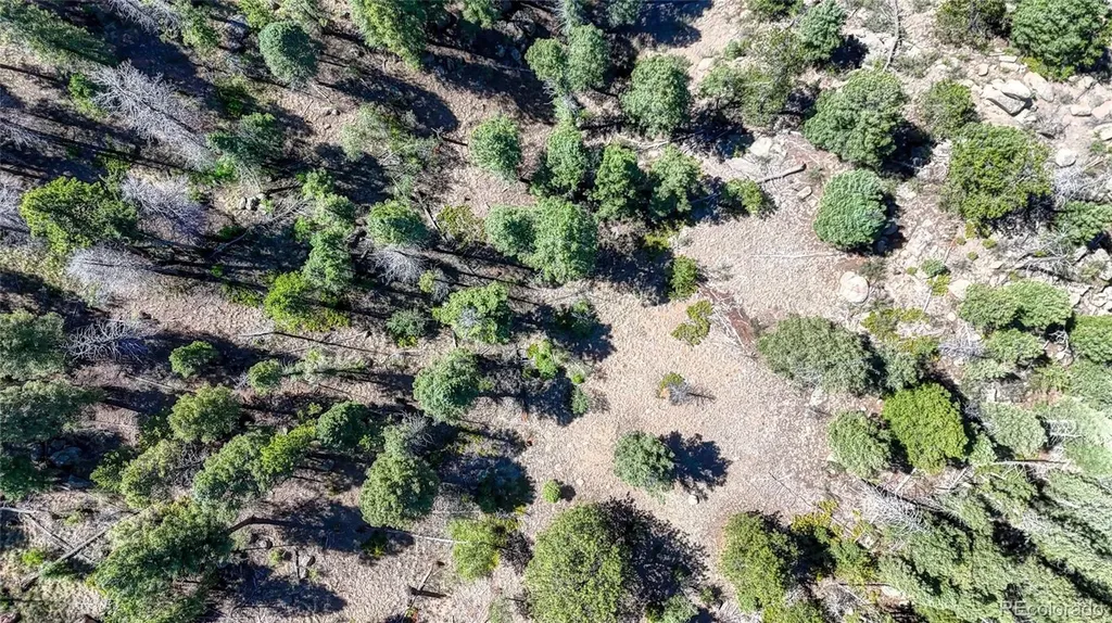 3454 N Mountain Estates Road Florissant CO 80816