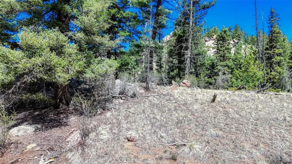 3454 N Mountain Estates Road Florissant CO 80816