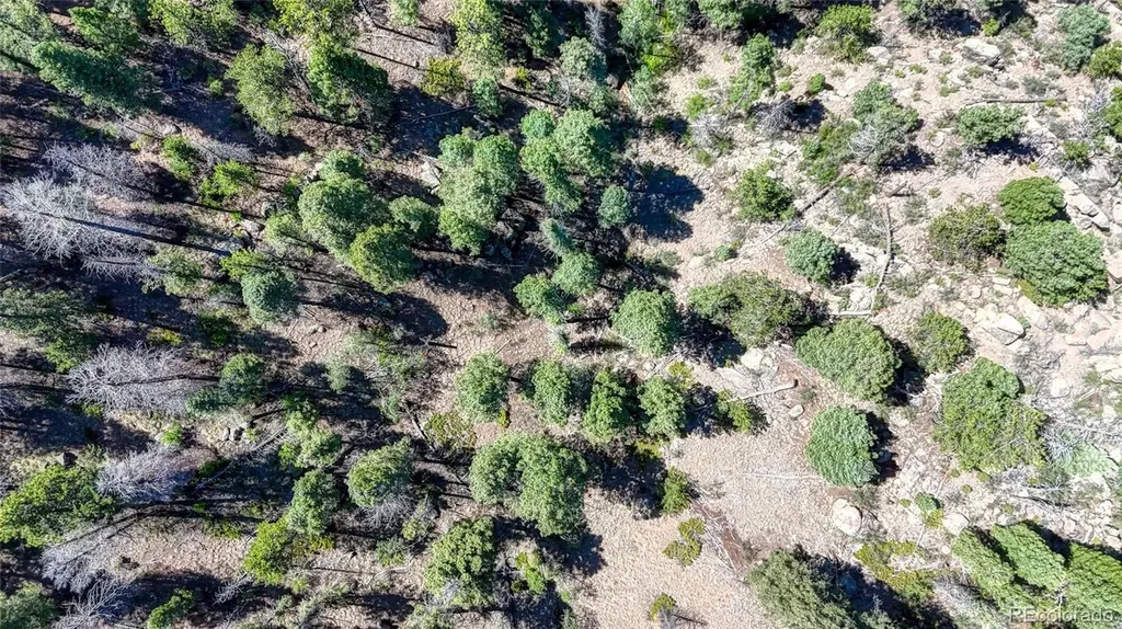 3454 N Mountain Estates Road Florissant CO 80816