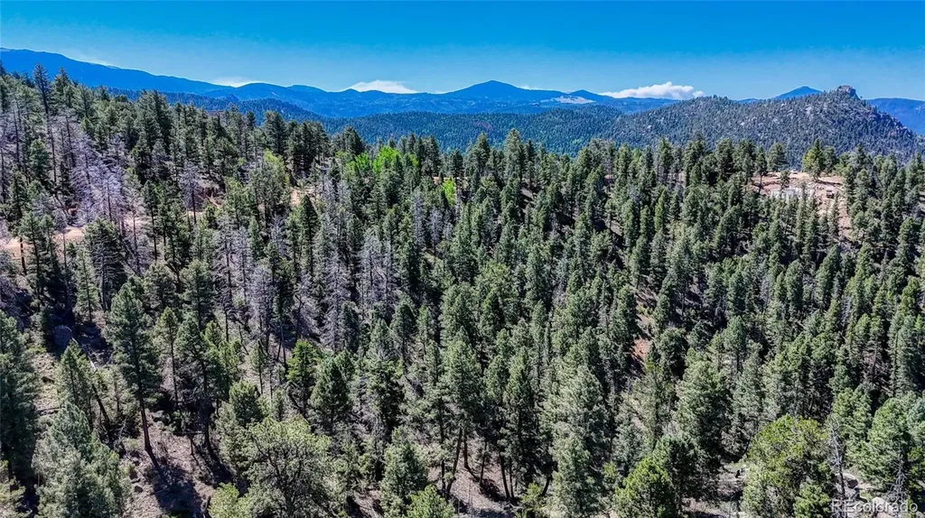 3454 N Mountain Estates Road Florissant CO 80816