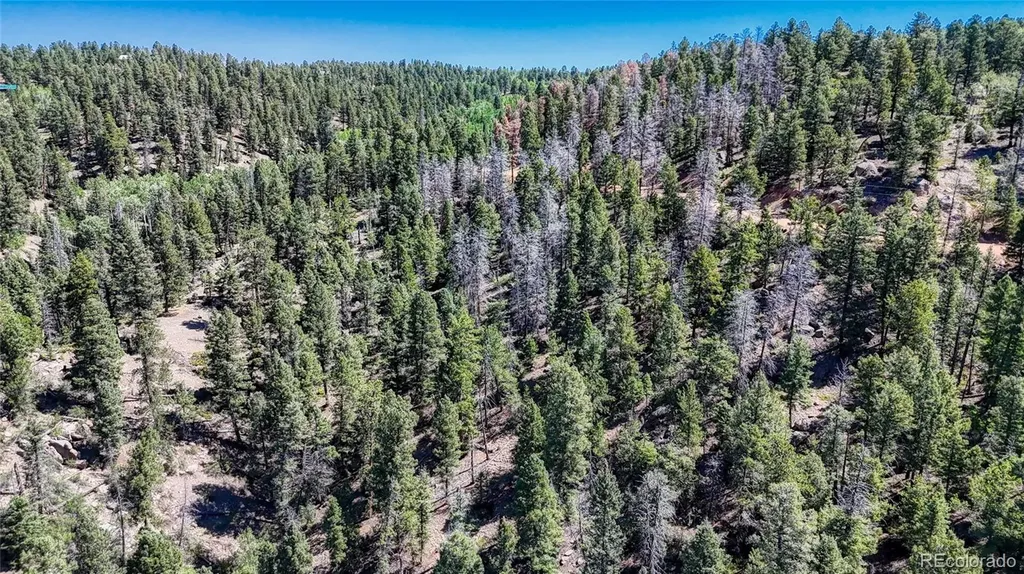 3454 N Mountain Estates Road Florissant CO 80816