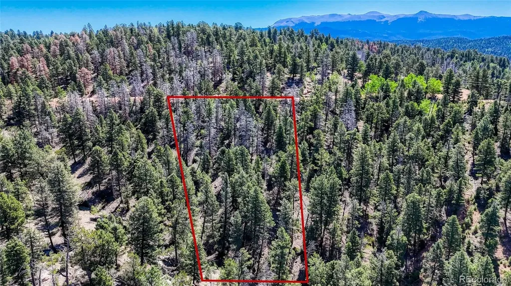 3454 N Mountain Estates Road Florissant CO 80816