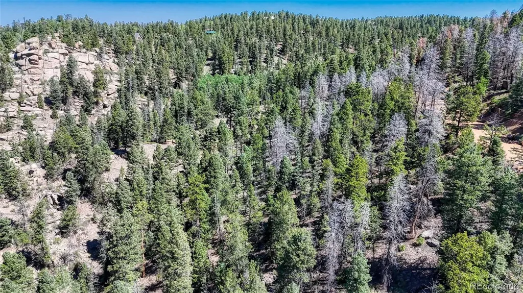 3454 N Mountain Estates Road Florissant CO 80816
