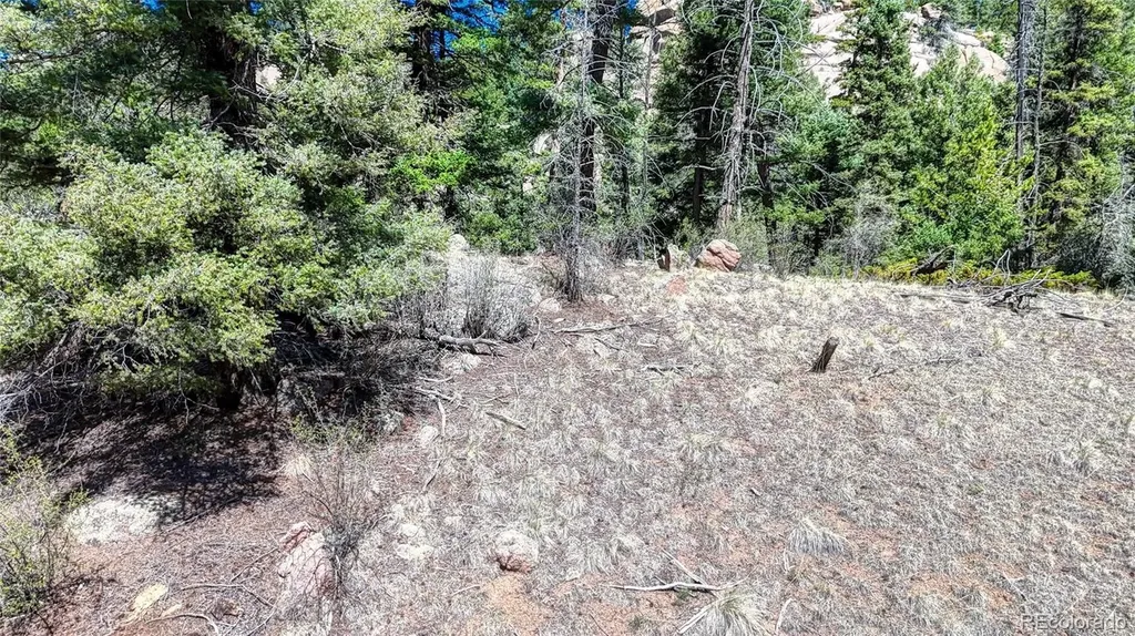3454 N Mountain Estates Road Florissant CO 80816