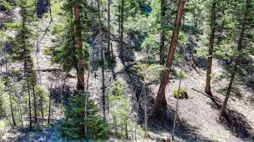 3454 N Mountain Estates Road Florissant CO 80816