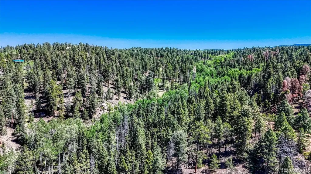 3454 N Mountain Estates Road Florissant CO 80816
