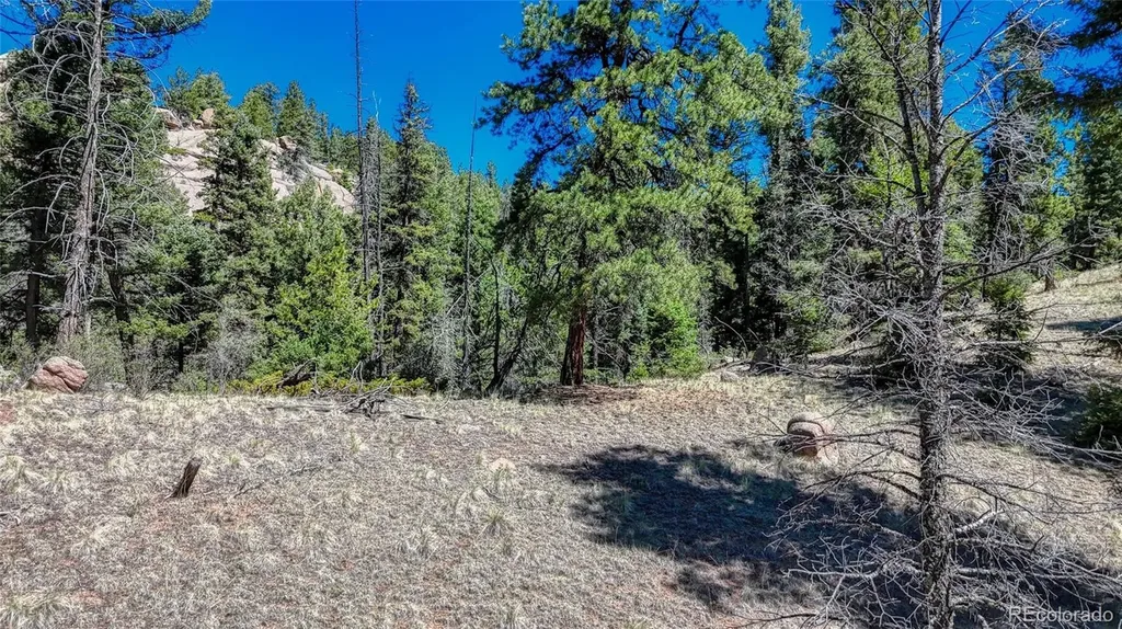 3454 N Mountain Estates Road Florissant CO 80816