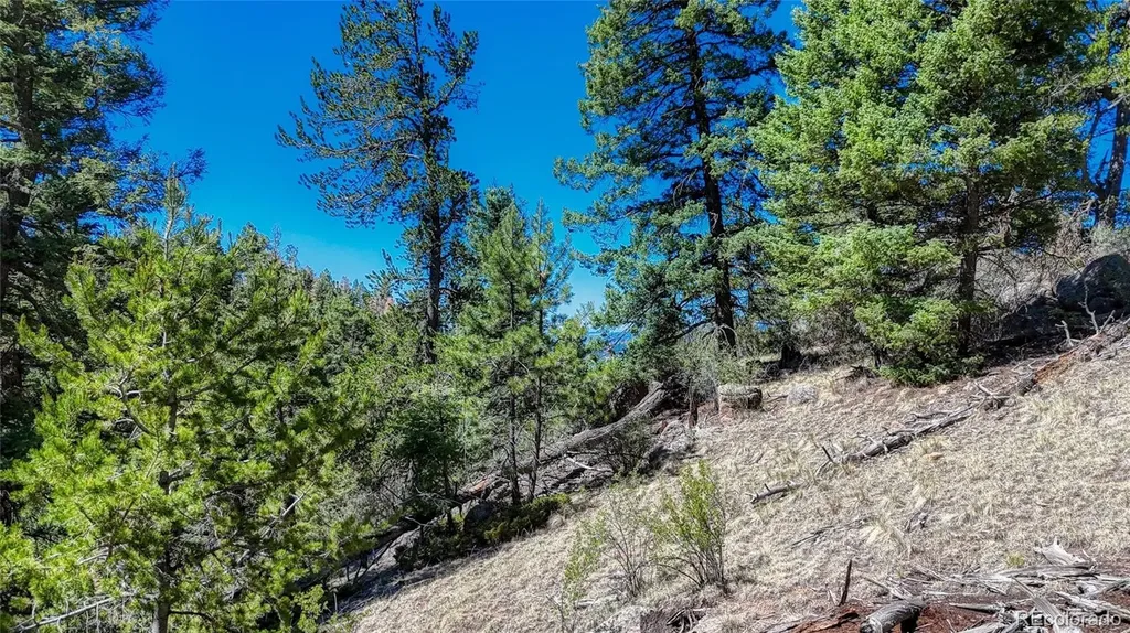 3454 N Mountain Estates Road Florissant CO 80816