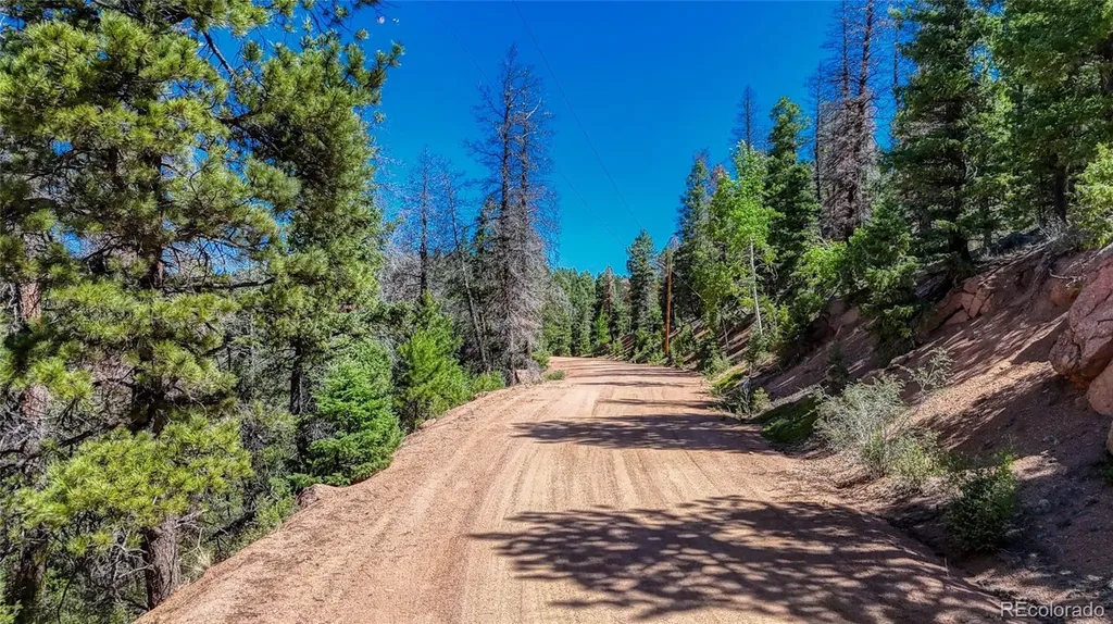 3454 N Mountain Estates Road Florissant CO 80816