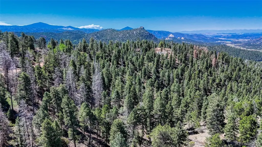 3454 N Mountain Estates Road Florissant CO 80816