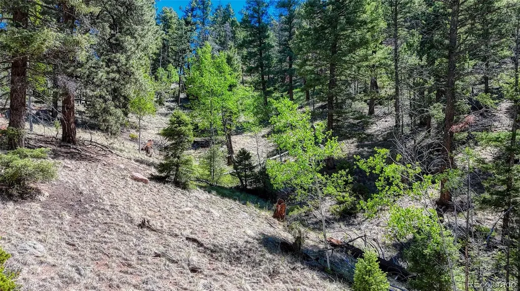 3454 N Mountain Estates Road Florissant CO 80816