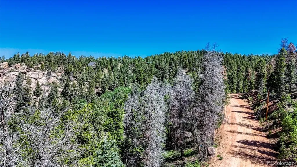3454 N Mountain Estates Road Florissant CO 80816