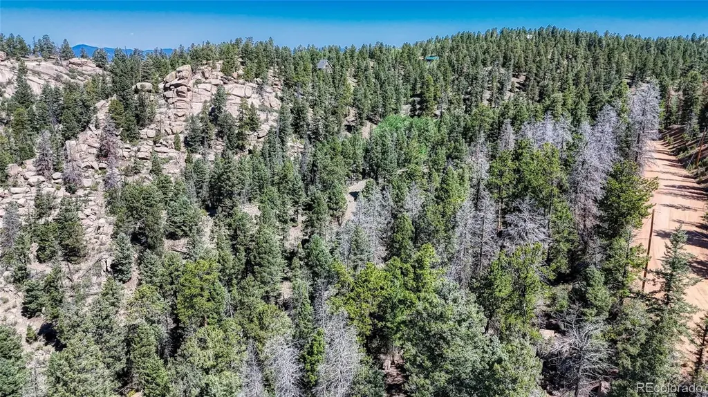 3454 N Mountain Estates Road Florissant CO 80816