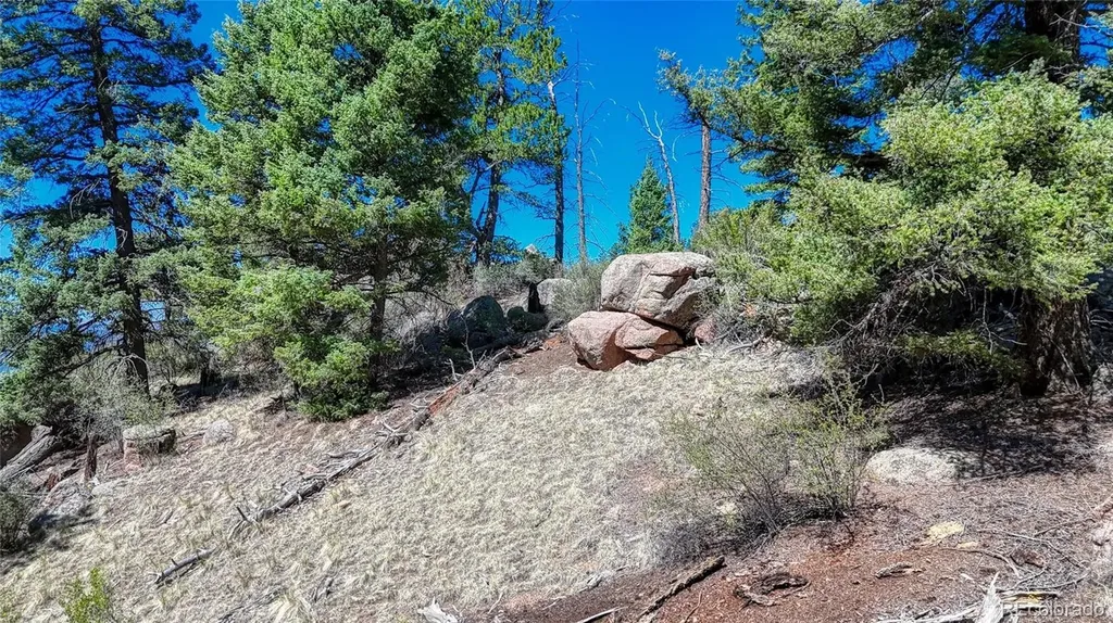 3454 N Mountain Estates Road Florissant CO 80816