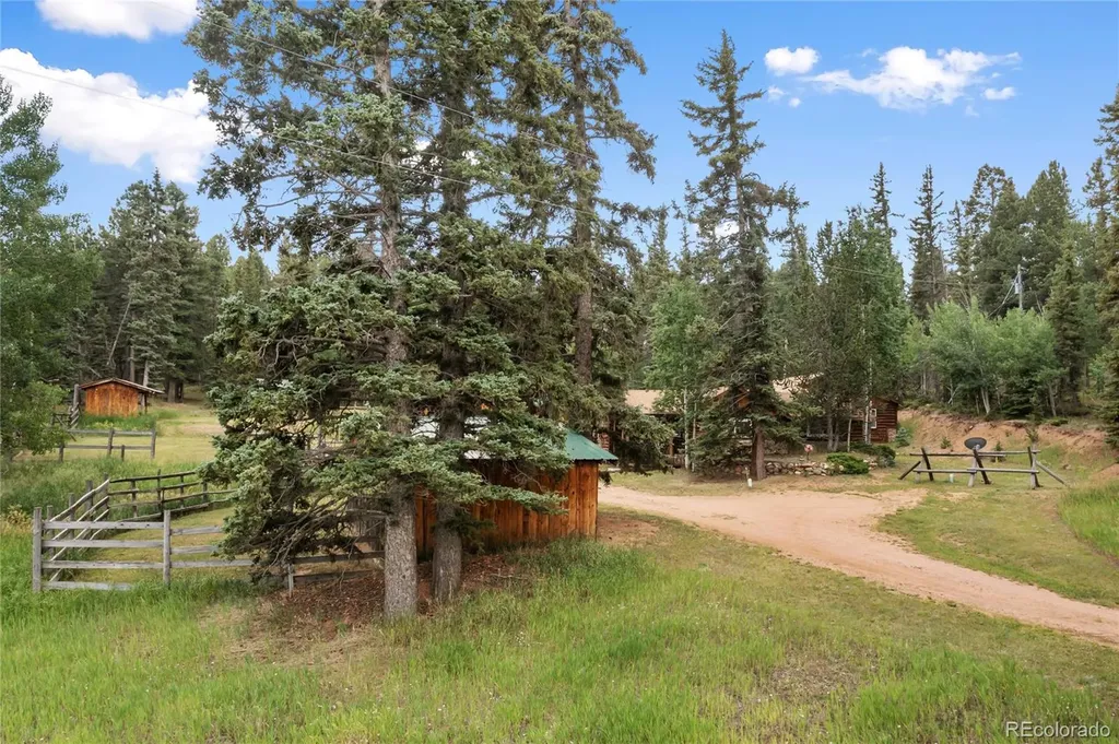 135 Daniwood Grove Florissant CO 80816