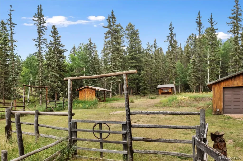 135 Daniwood Grove Florissant CO 80816