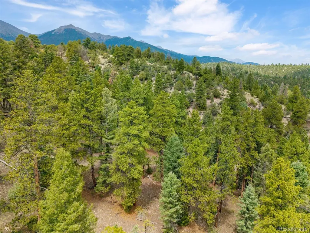 13600 County Road 251 Salida CO 81201
