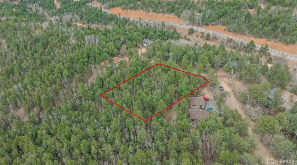 881 Timber Ridge Road Divide CO 80814