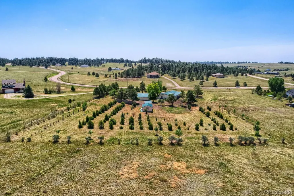 11783 Pine Meadows Drive Kiowa CO 80117