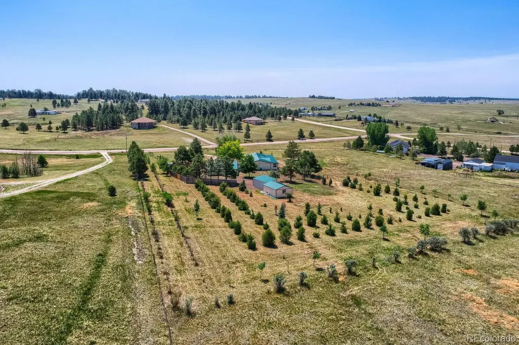 11783 Pine Meadows Drive Kiowa CO 80117