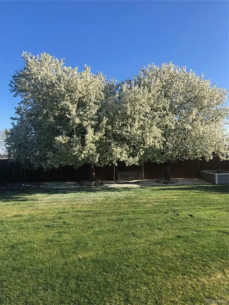 805 Waxberry Court Loveland CO 80538