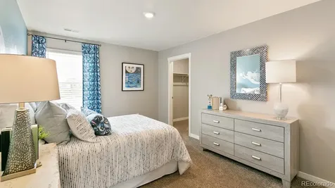 5628 Gelbray Place Windsor CO 80528