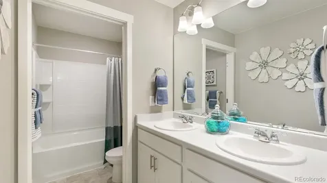 5628 Gelbray Place Windsor CO 80528
