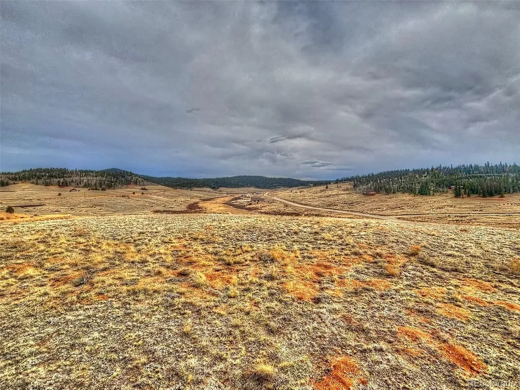 317 Lippzana Road Como CO 80432
