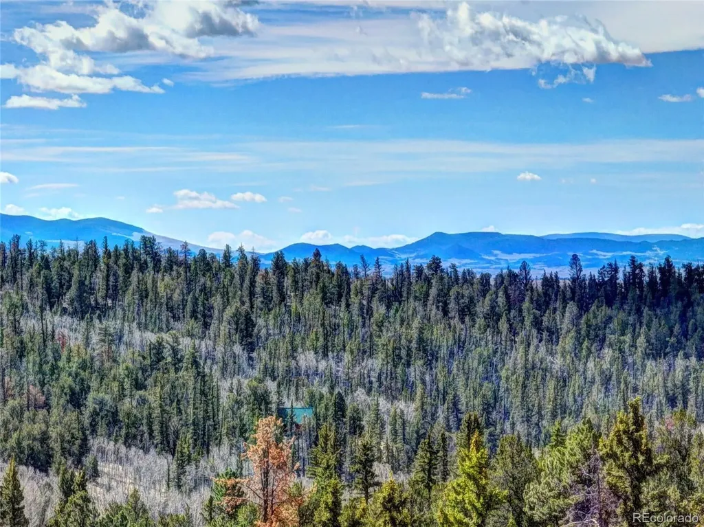 1479 Ouray Trail Como CO 80432
