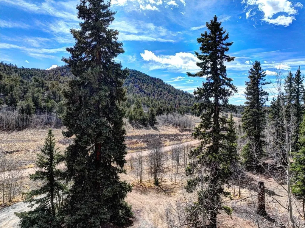 1479 Ouray Trail Como CO 80432