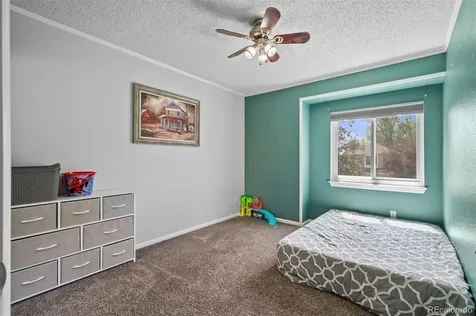 5201 Devon Avenue Castle Rock CO 80104