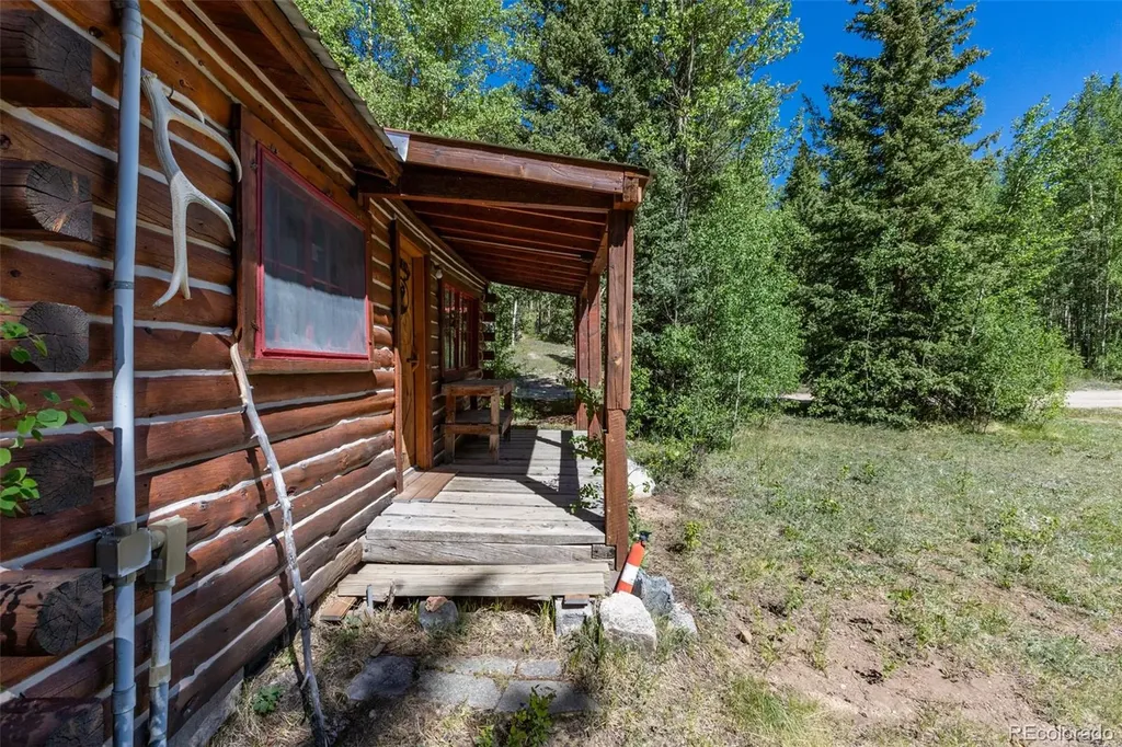 18990 Cr-294 Nathrop CO 81236