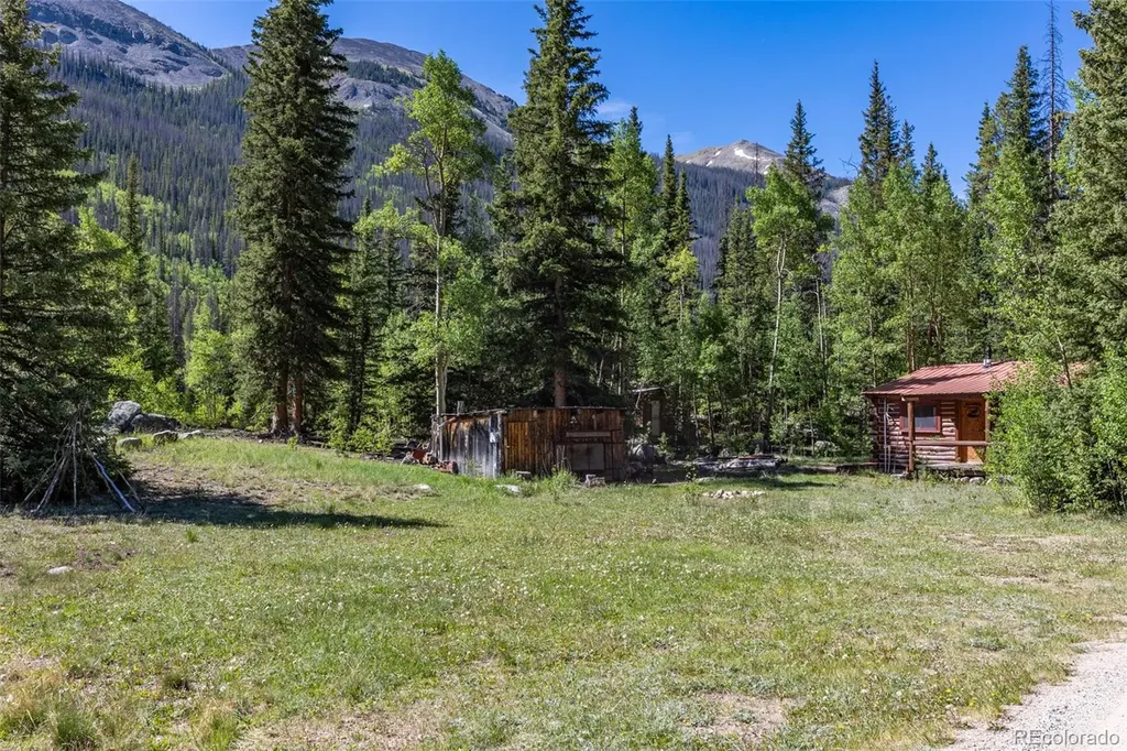 18990 Cr-294 Nathrop CO 81236
