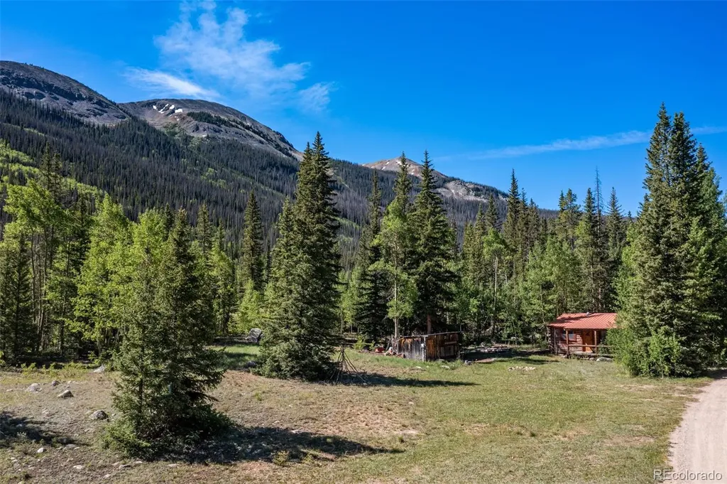 18990 Cr-294 Nathrop CO 81236