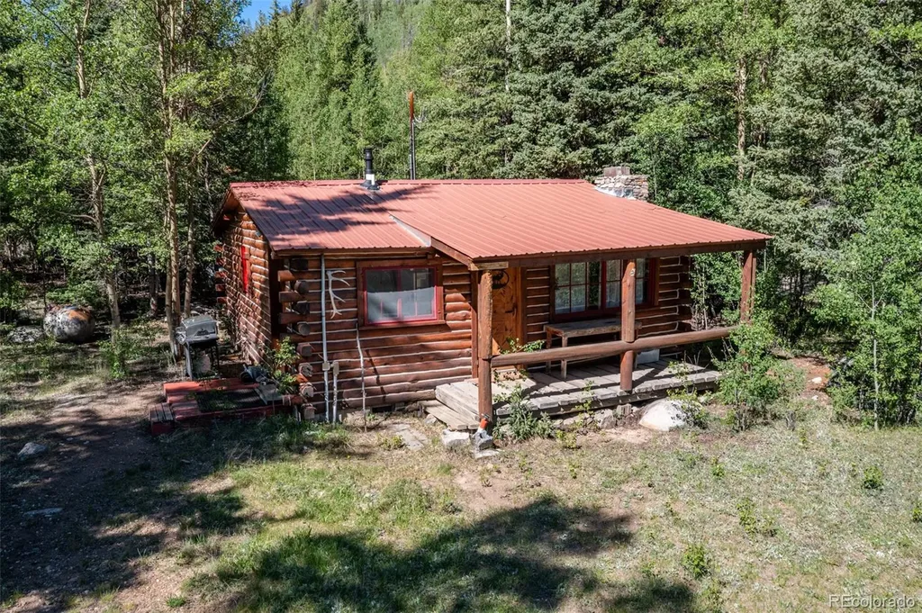 18990 Cr-294 Nathrop CO 81236