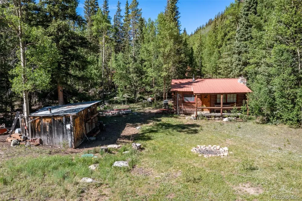 18990 Cr-294 Nathrop CO 81236