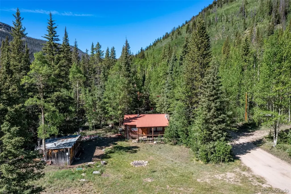 18990 Cr-294 Nathrop CO 81236