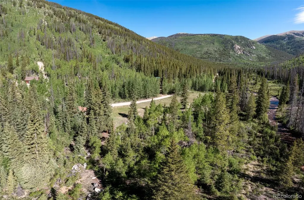 18990 Cr-294 Nathrop CO 81236
