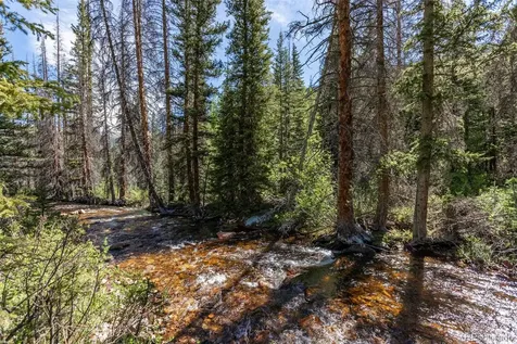 18990 Cr-294 Nathrop CO 81236