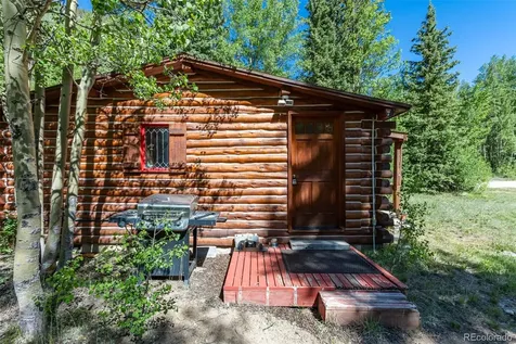 18990 Cr-294 Nathrop CO 81236