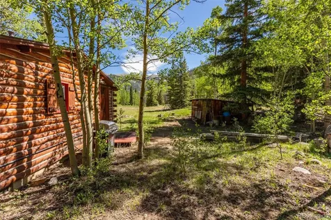 18990 Cr-294 Nathrop CO 81236