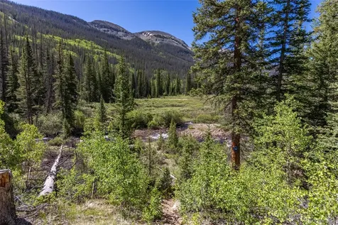 18990 Cr-294 Nathrop CO 81236
