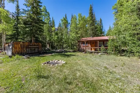 18990 Cr-294 Nathrop CO 81236