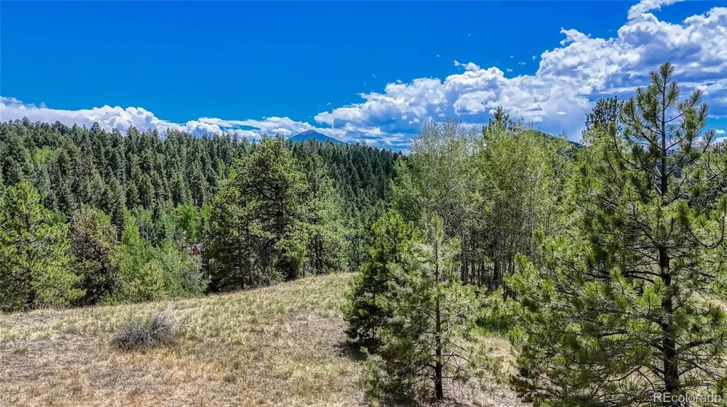 218 Princess Road Cripple Creek CO 80813