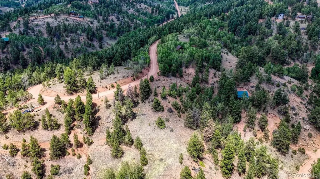 218 Princess Road Cripple Creek CO 80813