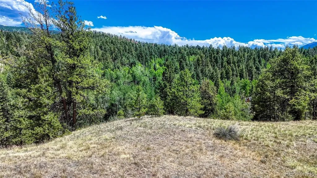218 Princess Road Cripple Creek CO 80813