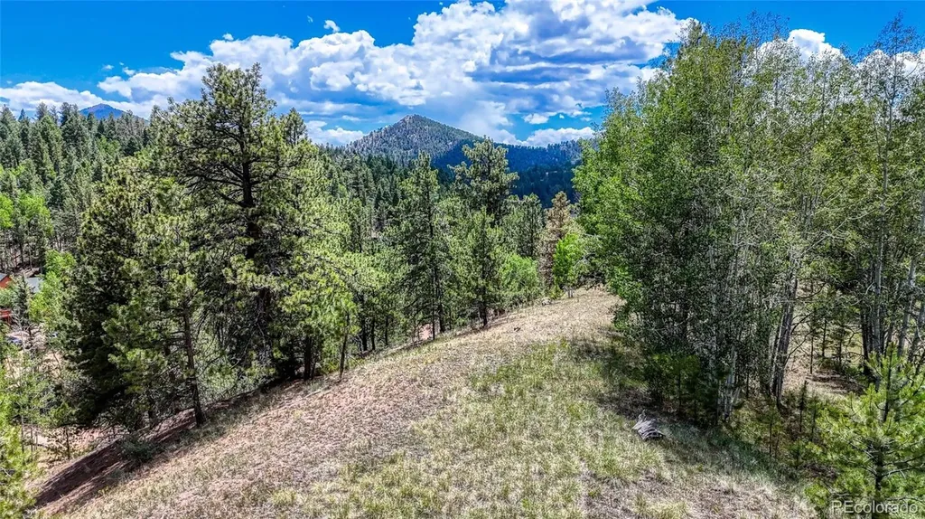 218 Princess Road Cripple Creek CO 80813