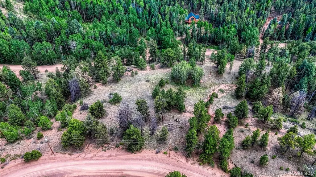 218 Princess Road Cripple Creek CO 80813