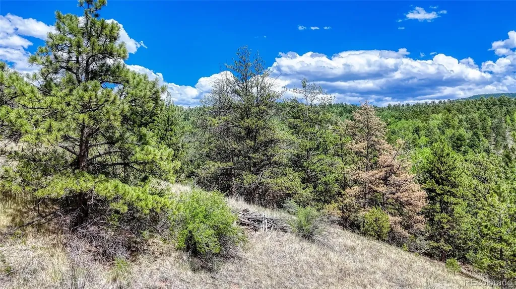 218 Princess Road Cripple Creek CO 80813