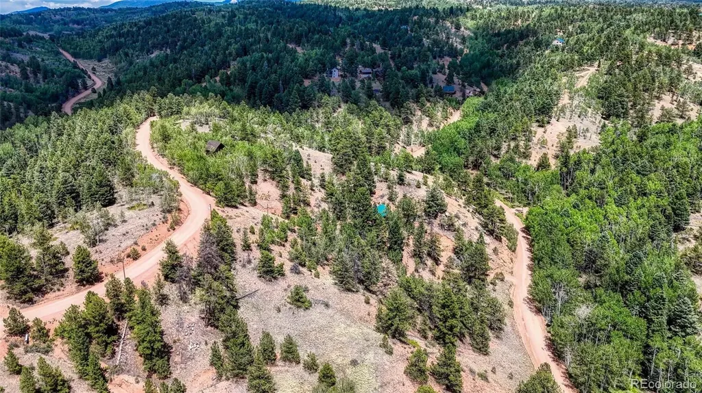 218 Princess Road Cripple Creek CO 80813